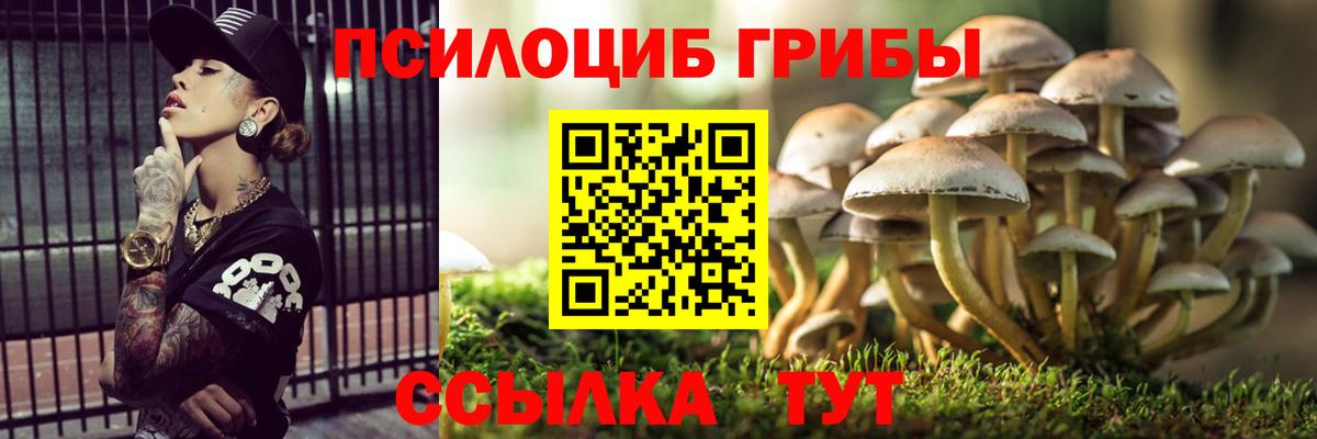 Фрязино  Галлюциногенные грибы GOLDEN TEACHER  Вход с VPN 